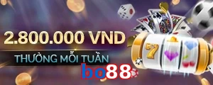bo88