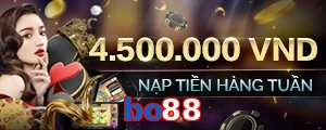 bo88