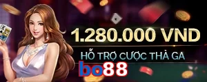 bo88