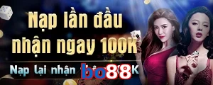 bo88