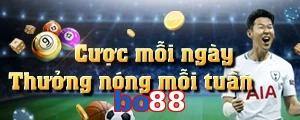 bo88